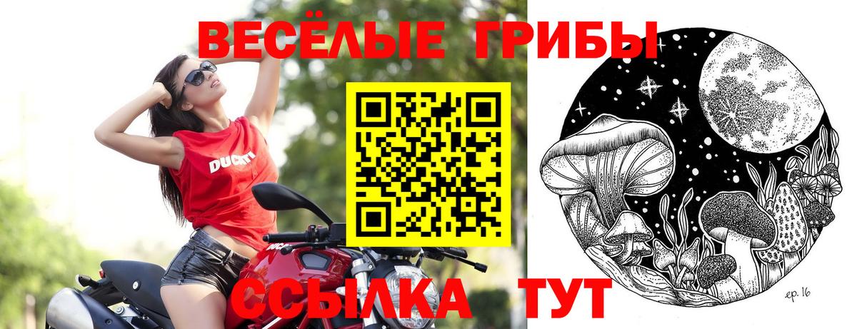где купить   Вход с VPN  Ликино-Дулёво  Псилоцибиновые грибы GOLDEN TEACHER 